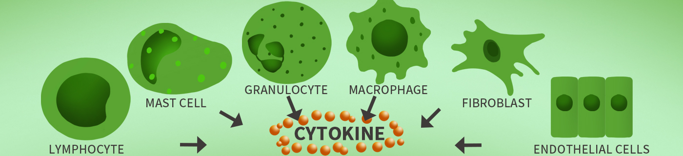 cytokines